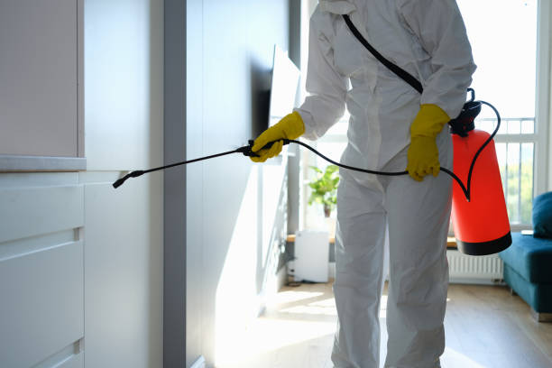 Best Mold Removal Specialists  in De Leon, TX